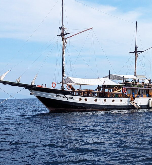 Raja Ampat Liveaboard boat